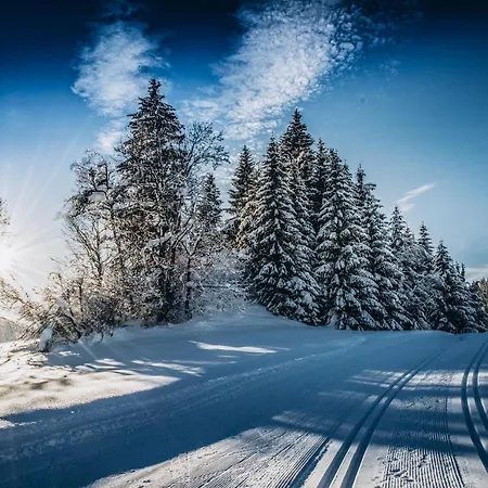 Apartment Four Peaks Flachau