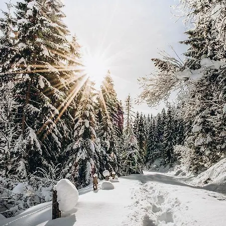 Four Peaks Апартаменты