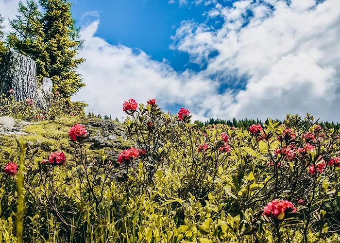 Four Peaks * Флахау