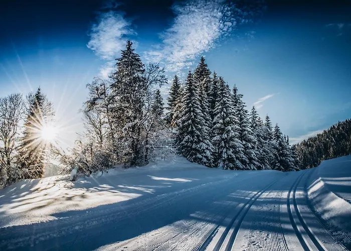 Apartment Four Peaks Flachau