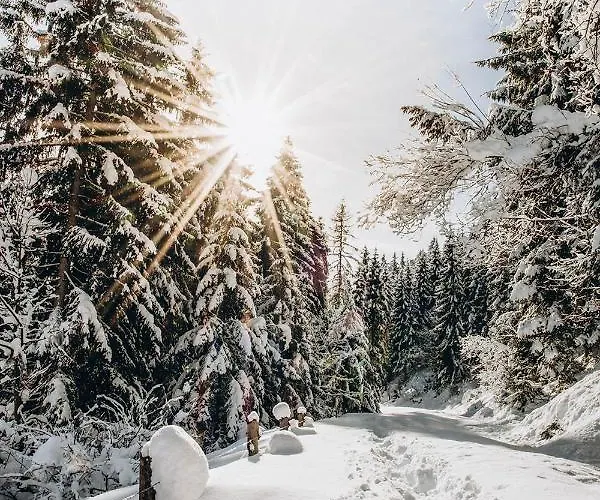 Four Peaks Апартаменты